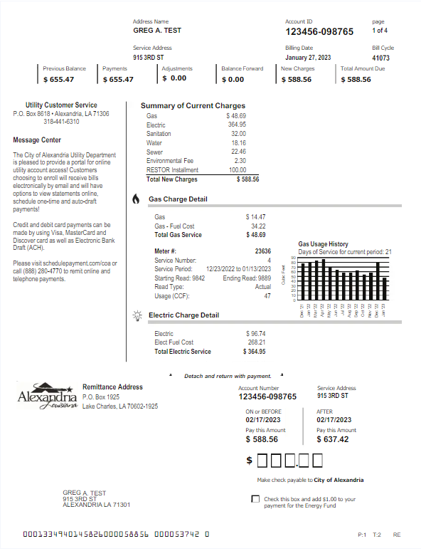 USA ALEXANDRIA utility bill Word and PDF template